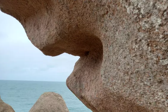 Harmonise ta FL'Âme - Laura Sepieter - guérisseuse de l'âme, du coeur et des corps,  accompagnatrice sur votre chemin d'éveil et/ou votre parcours de Flammes Jumelles   constellations, guérison des blessures de l'âme, coaching, sonothérapie énergétique