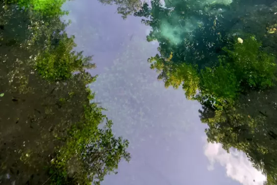 Harmonise ta FL'Âme - Laura Sepieter - guérisseuse de l'âme, du coeur et des corps,  accompagnatrice sur votre chemin d'éveil et/ou votre parcours de Flammes Jumelles   constellations, guérison des blessures de l'âme, coaching, sonothérapie énergétique