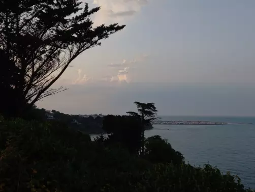 Harmonise ta FL'Âme - Laura Sepieter - guérisseuse de l'âme, du coeur et des corps,  accompagnatrice sur votre chemin d'éveil et/ou votre parcours de Flammes Jumelles   constellations, guérison des blessures de l'âme, coaching, sonothérapie énergétique