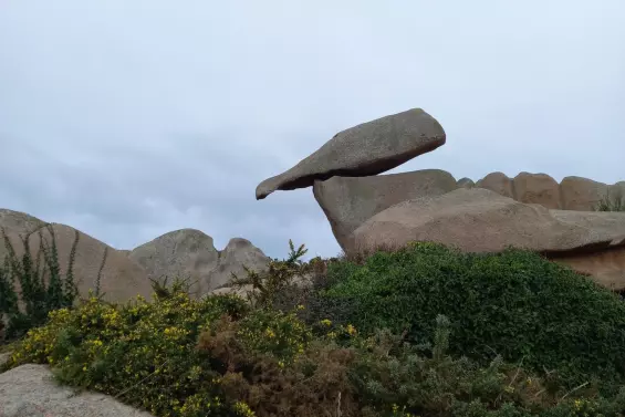 Harmonise ta FL'Âme - Laura Sepieter - guérisseuse de l'âme, du coeur et des corps,  accompagnatrice sur votre chemin d'éveil et/ou votre parcours de Flammes Jumelles   constellations, guérison des blessures de l'âme, coaching, sonothérapie énergétique